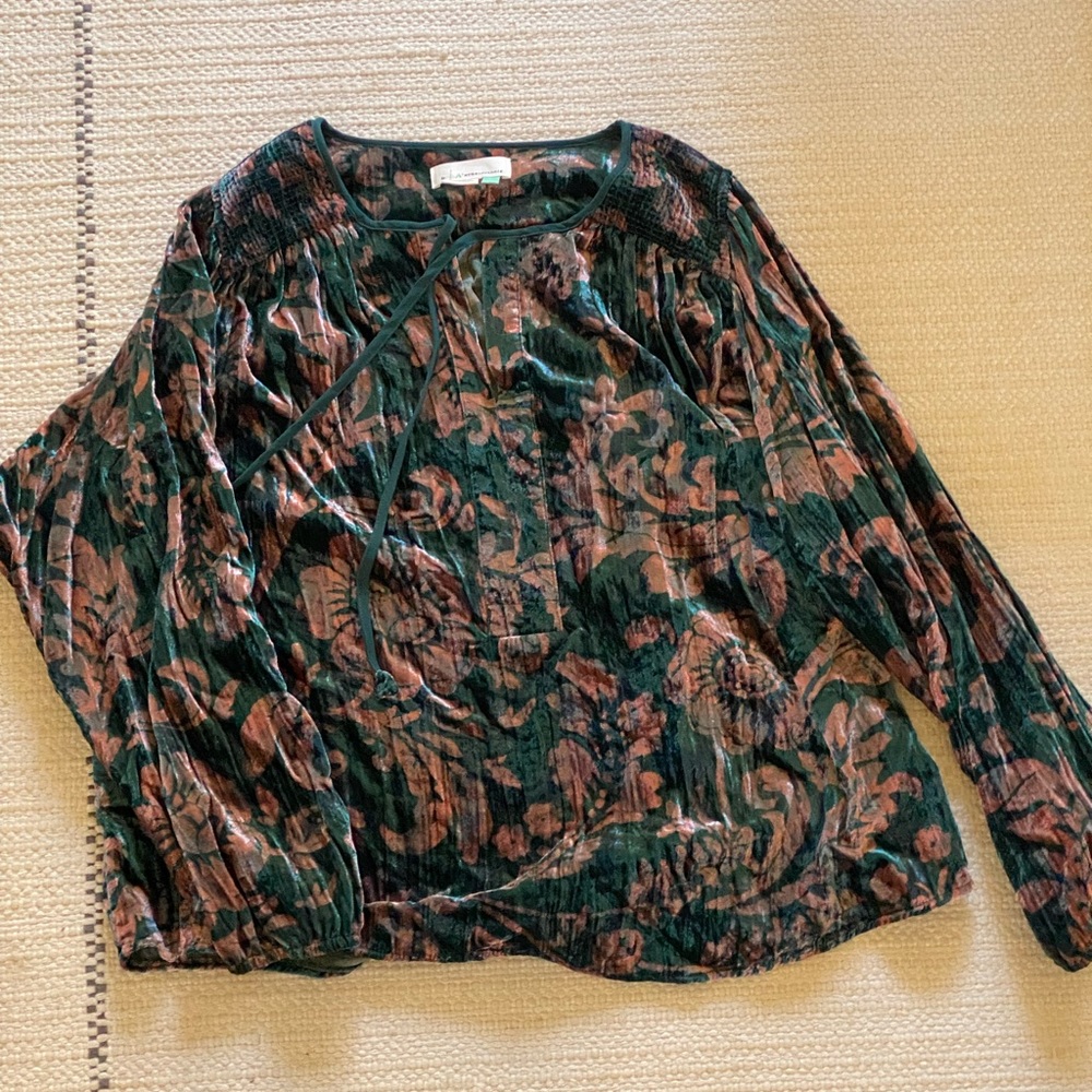 Beautiful velvet blouse from Anthropologie !
